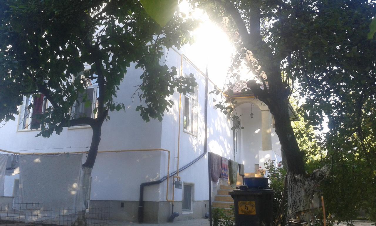 Alfredo Hostel Craiova Exterior photo